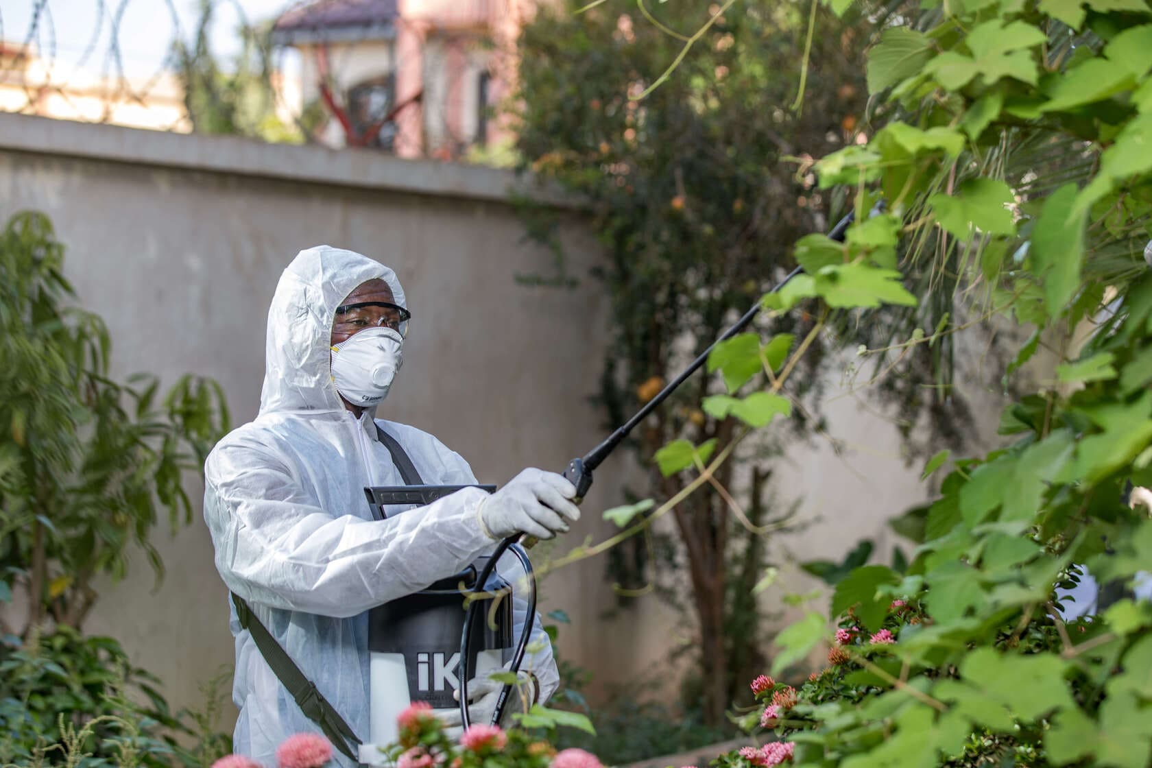 Traitement Phytosanitaire